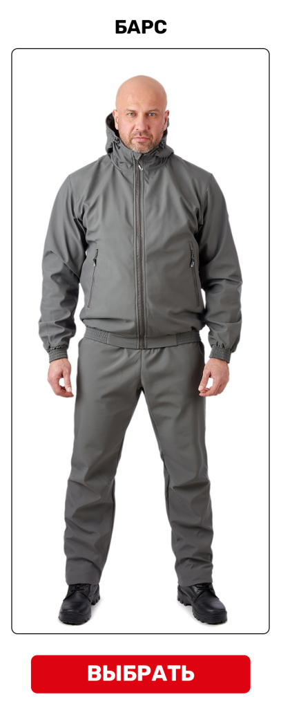 барс.png барс.png